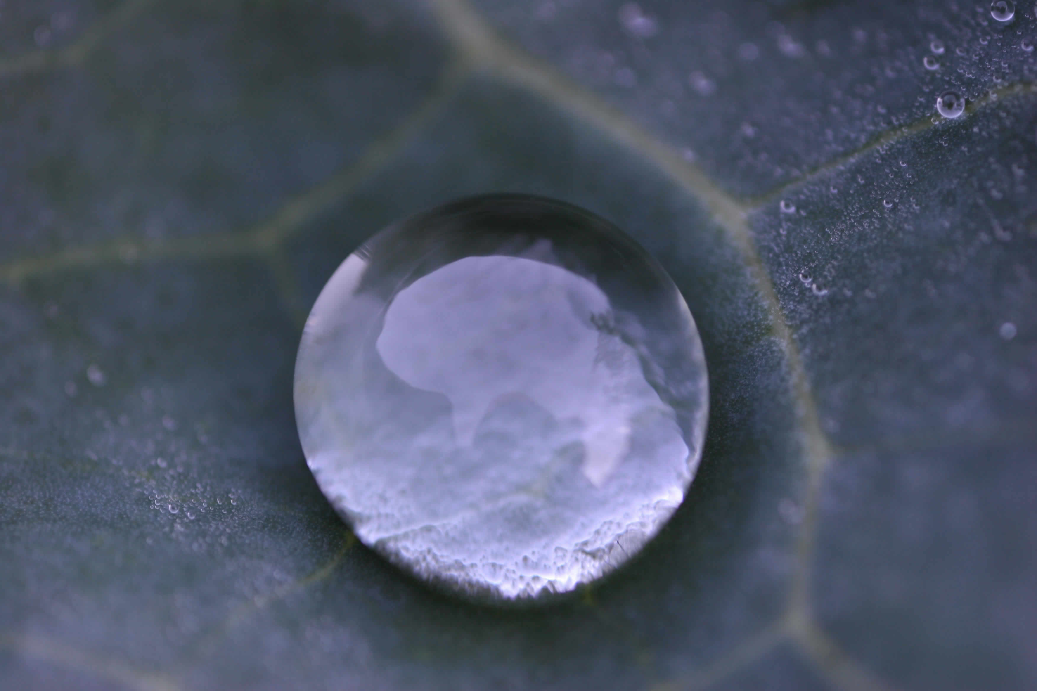 mirror drop - indirect tax liability
